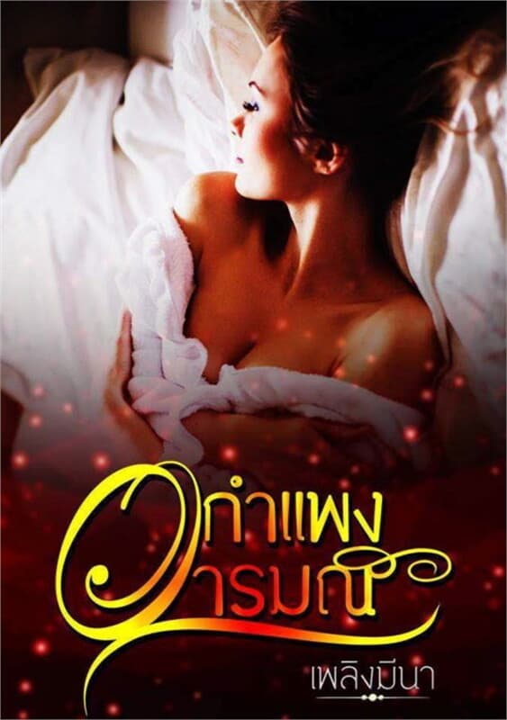 ปกหนังสือ กำแพงอารมณ์