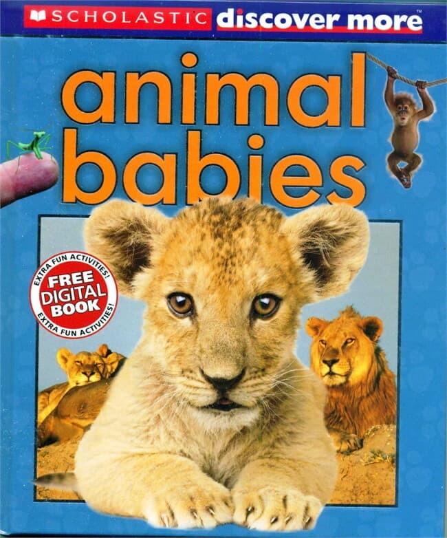ปกหนังสือ SCHOLASTIC DISCOVER MORE: ANIMAL BABIES