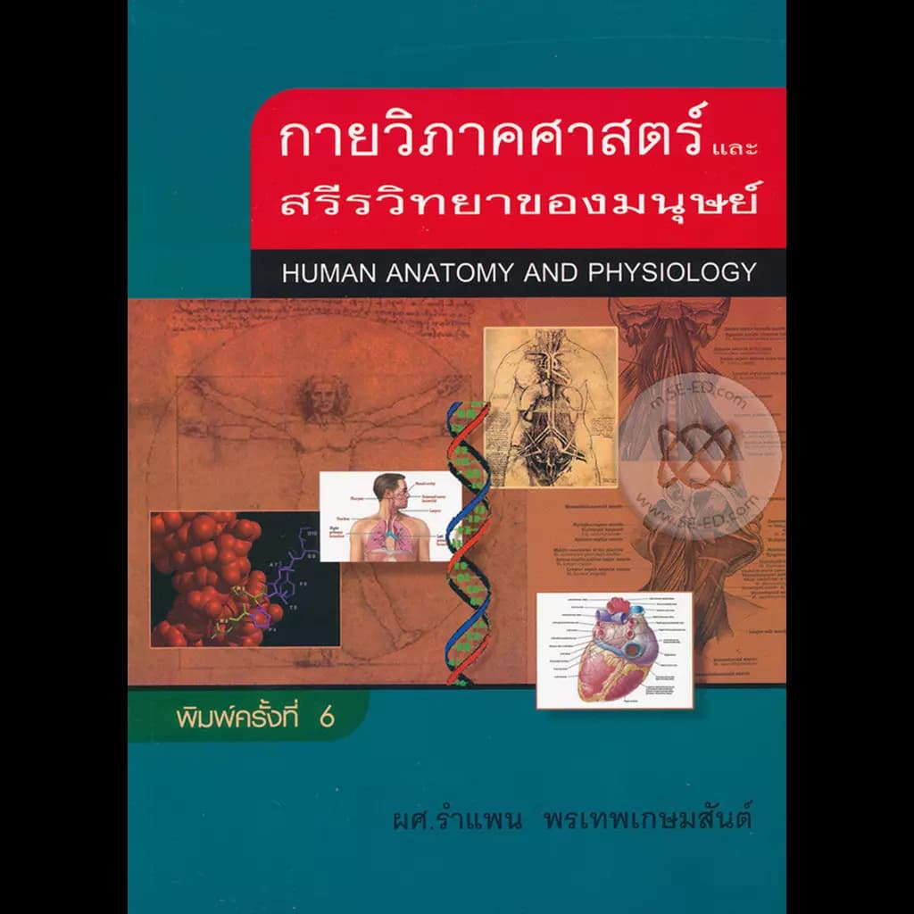 ปกหนังสือ กายวิภาคศาสตร์ และสรีรวิทยาของมนุษย์ : Human Anatomy and Physiology