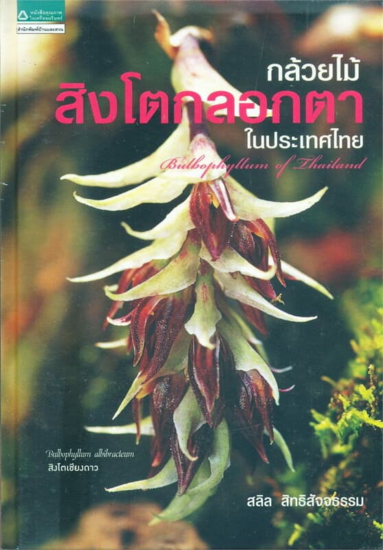 ปกหนังสือ กล้วยไม้ สิงโตกลอกตา