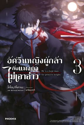 ปกหนังสือ อัศวินหญิงผู้กล้ากับแมงดาไม่เอาอ่าว เล่ม 3 LN