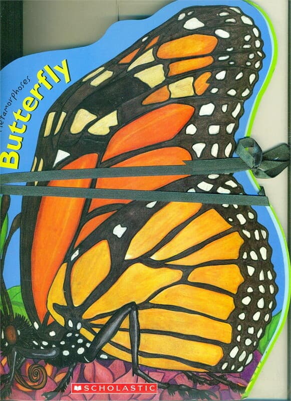 ปกหนังสือ METAMORPHOSES: BUTTERFLY