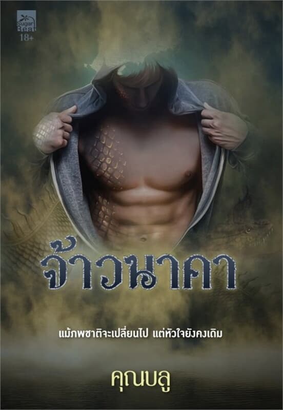 ปกหนังสือ จ้าวนาคา