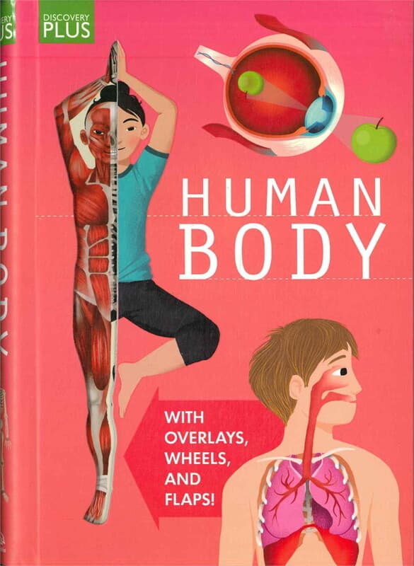 ปกหนังสือ Discovery Plus: Human Body