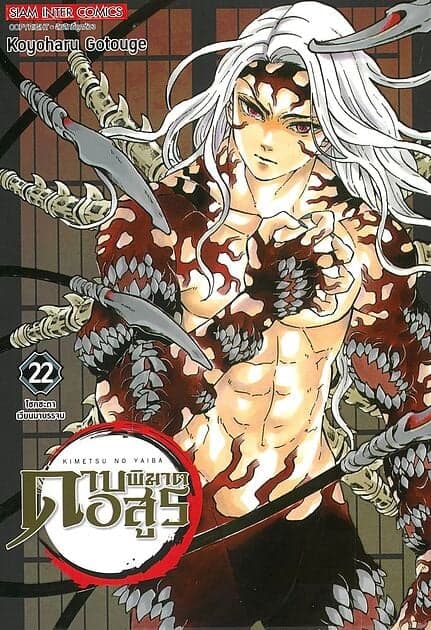 ปกหนังสือ ดาบพิฆาตอสูร เล่ม 22 NEW EDITION