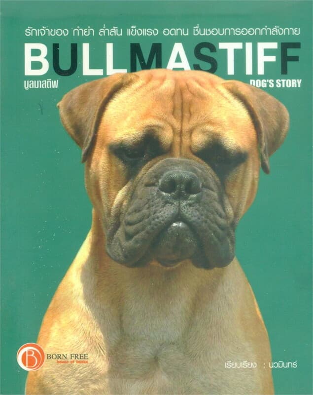ปกหนังสือ บูลมาสตีฟ Dog's Story