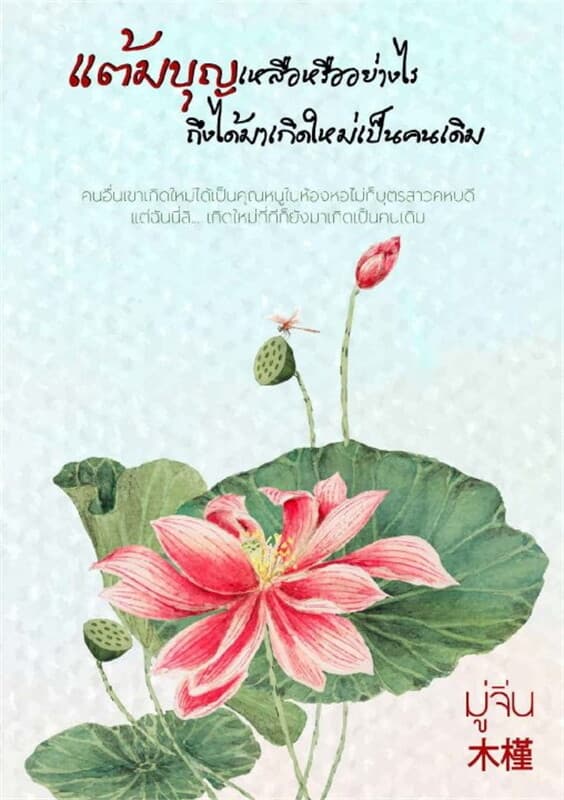 ปกหนังสือ แต้มบุญเหลือหรืออย่างไรถึงได้มาเกิดใหม่เป็นคนเดิม