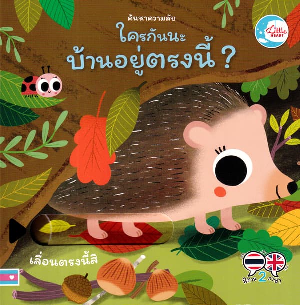 ปกหนังสือ ค้นหาความลับ ใครกันนะมีบ้านอยู่ตรงนี้