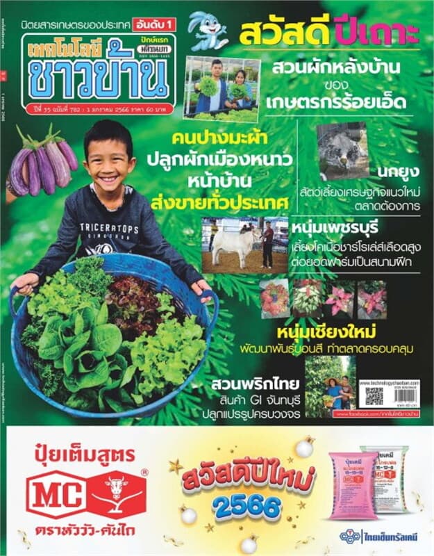 ปกหนังสือ เทคโนโลยีชาวบ้าน ฉบับที่ 782 ปักษ์แรก มกราคม 2566