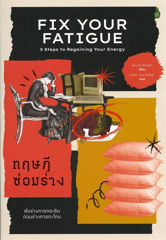 ปกหนังสือ ทฤษฎีซ่อมร่าง