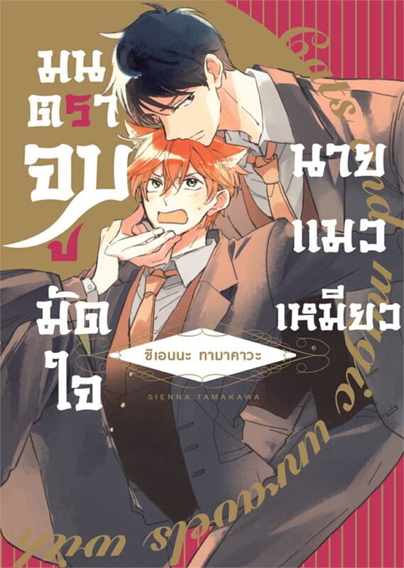 ปกหนังสือ มนตราจูบมัดใจนายแมวเหมียว (เล่มเดียวจบ)