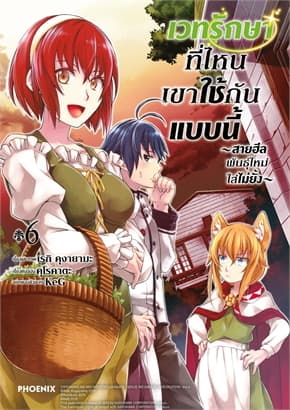 ปกหนังสือ เวทรักษาที่ไหนเขาใช้กันแบบนี้ เล่ม 6 (Mg)