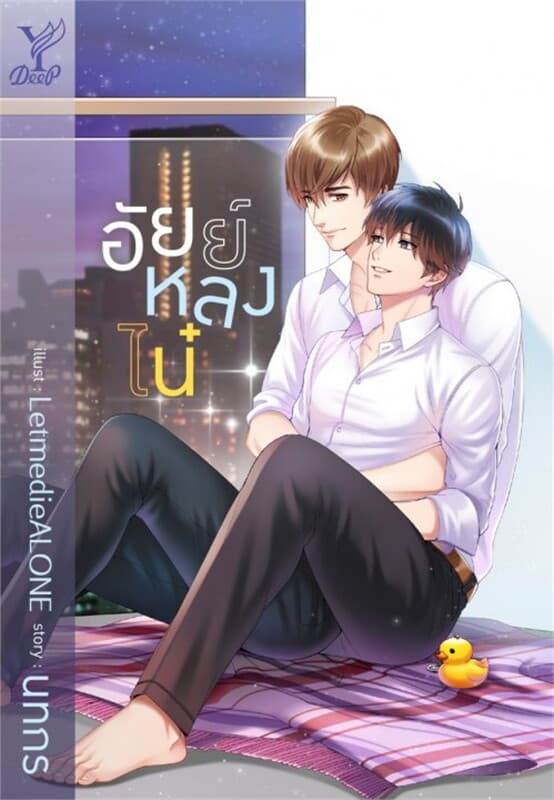 ปกหนังสือ อัยย์หลงไน๋ (นิยาย)