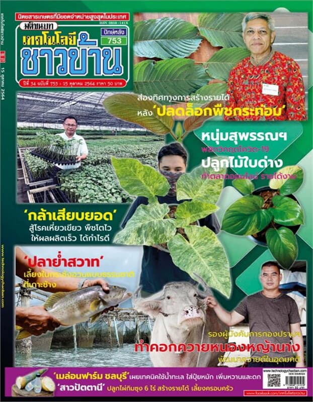 ปกหนังสือ เทคโนโลยีชาวบ้าน ฉบับที่ 753 ปักษ์หลัง ตุลาคม 2564