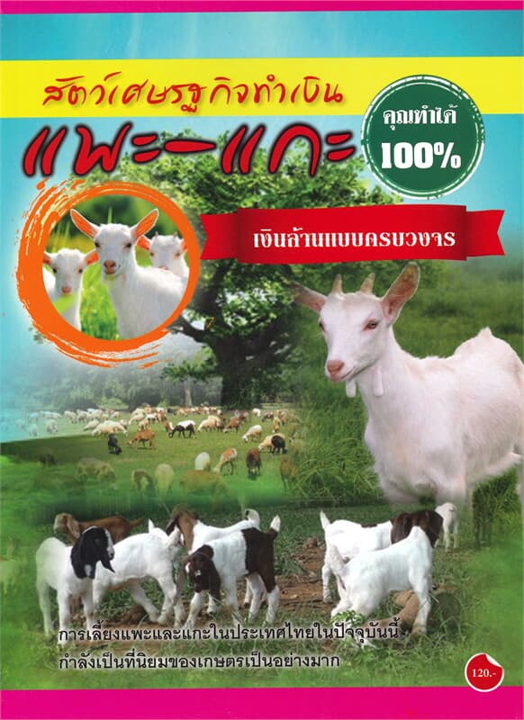 ปกหนังสือ สัตว์เศรษฐกิจทำเงิน แพะ-แกะ เงินล้านแบบครบวงจร