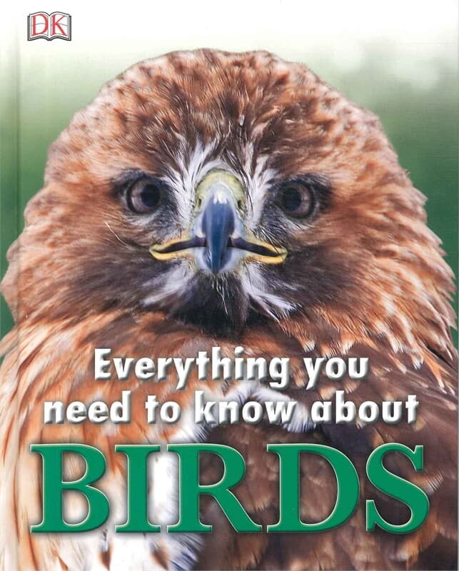ปกหนังสือ Everything You Need to Know About Birds