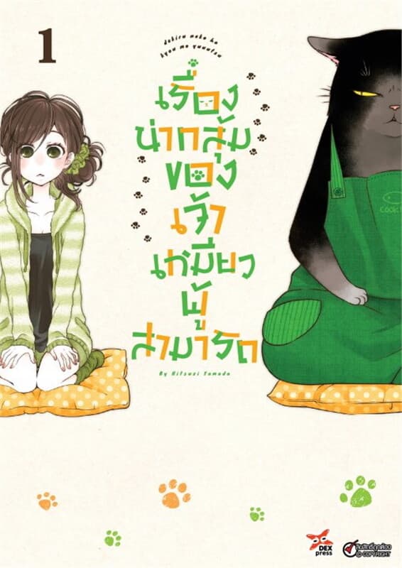 ปกหนังสือ เรื่องน่ากลุ้มของเจ้าเหมียวผู้สามารถ เล่ม 1
