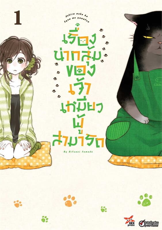 ปกหนังสือ เรื่องน่ากลุ้มของเจ้าเหมียวผู้สามารถ 1