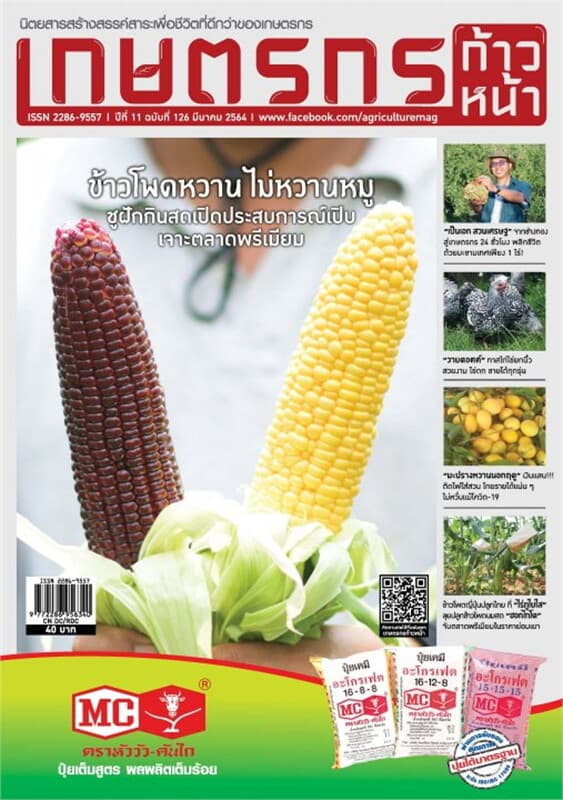 ปกหนังสือ เกษตรกรก้าวหน้า ฉบับที่ 126 มีนาคม 2564