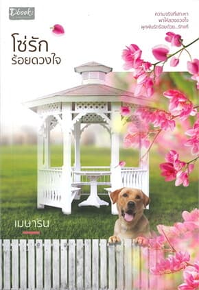 ปกหนังสือ โซ่รักร้อยดวงใจ