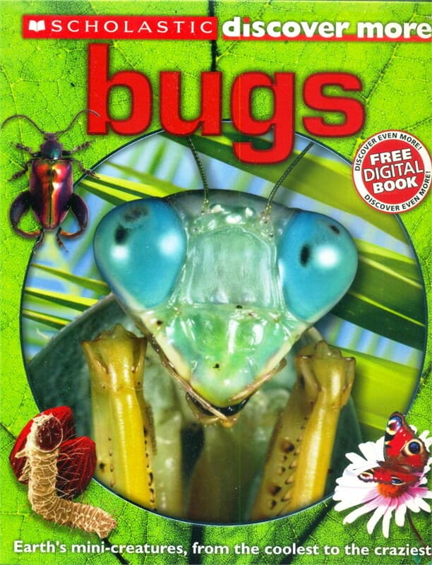ปกหนังสือ SCHOLASTIC DISCOVER MORE: BUGS