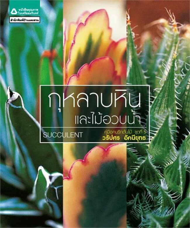 ปกหนังสือ กุหลาบหินและไม้อวบน้ำ