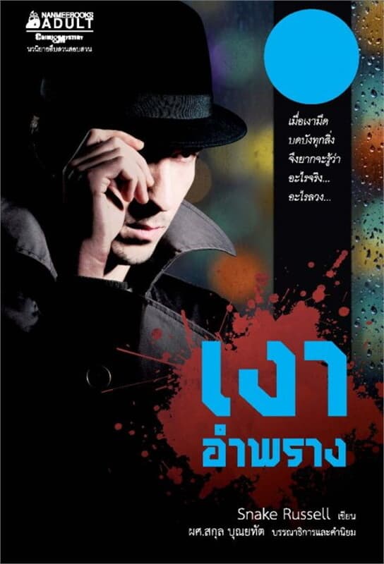 ปกหนังสือ เงาอำพราง