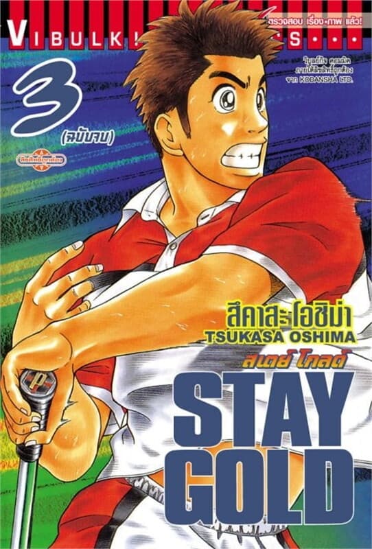 ปกหนังสือ STAY GOLD สเตย์ โกลด์ เล่ม 3 (จบ)