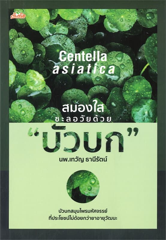 ปกหนังสือ สมองใส ชะลอวัยด้วย บัวบก