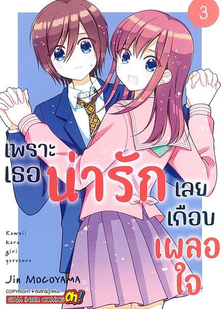 ปกหนังสือ เพราะเธอน่ารักเลยเกือบเผลอใจ เล่ม 3 (จบ)