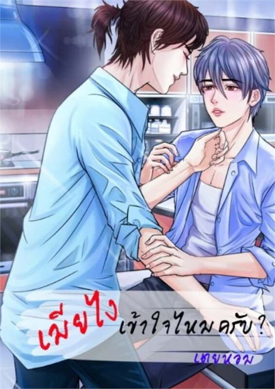 ปกหนังสือ เมียไง เข้าใจไหมครับ