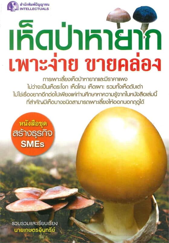 ปกหนังสือ เห็ดป่าหายาก เพาะง่าย ขายคล่อง
