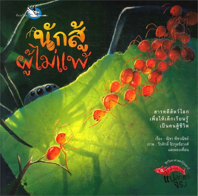ปกหนังสือ นักสู้ผู้ไม่แพ้