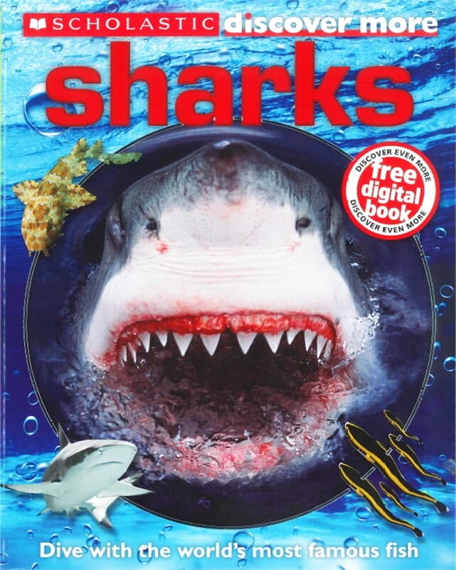 ปกหนังสือ SCHOLASTIC DISCOVER MORE : SHARKS