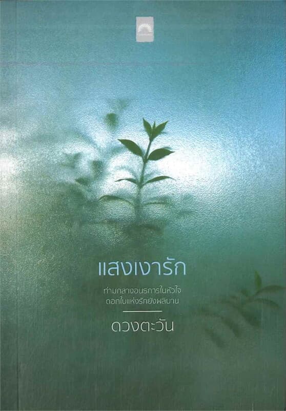 ปกหนังสือ แสงเงารัก