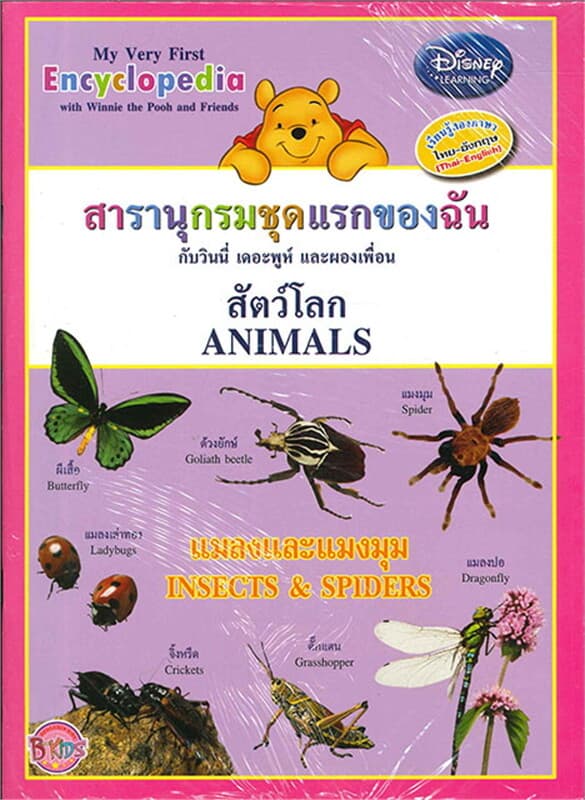 ปกหนังสือ สารานุกรมชุดแรกของฉันสัตว์โลกแมลงและแมงม