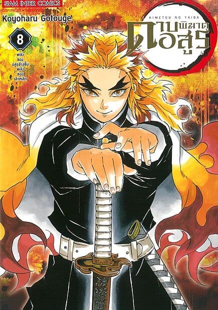 ปกหนังสือ ดาบพิฆาตอสูร เล่ม 8 NEW EDITION