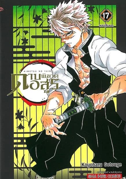ปกหนังสือ ดาบพิฆาตอสูร เล่ม 17 NEW EDITION