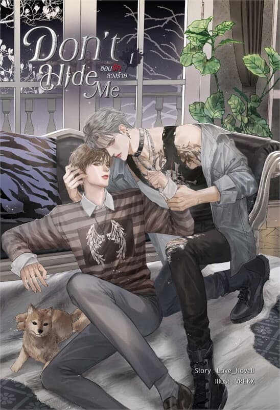 ปกหนังสือ ชุด Don't Hide Me ซ่อนรัก ลวงร้าย (2 เล่